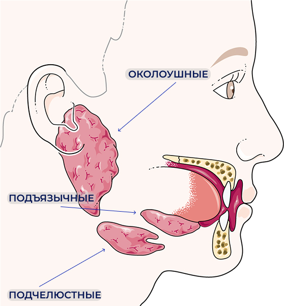 При каких заболеваниях сухость во рту и жажда – норма?